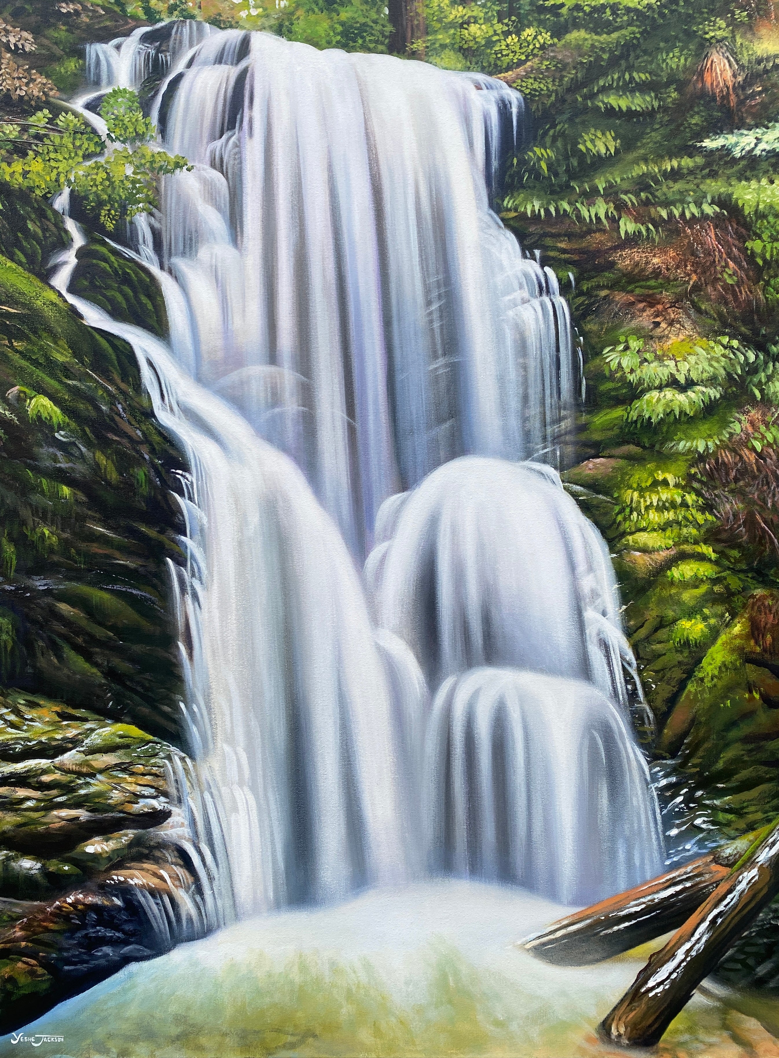 Canvas Print - Berry Creek