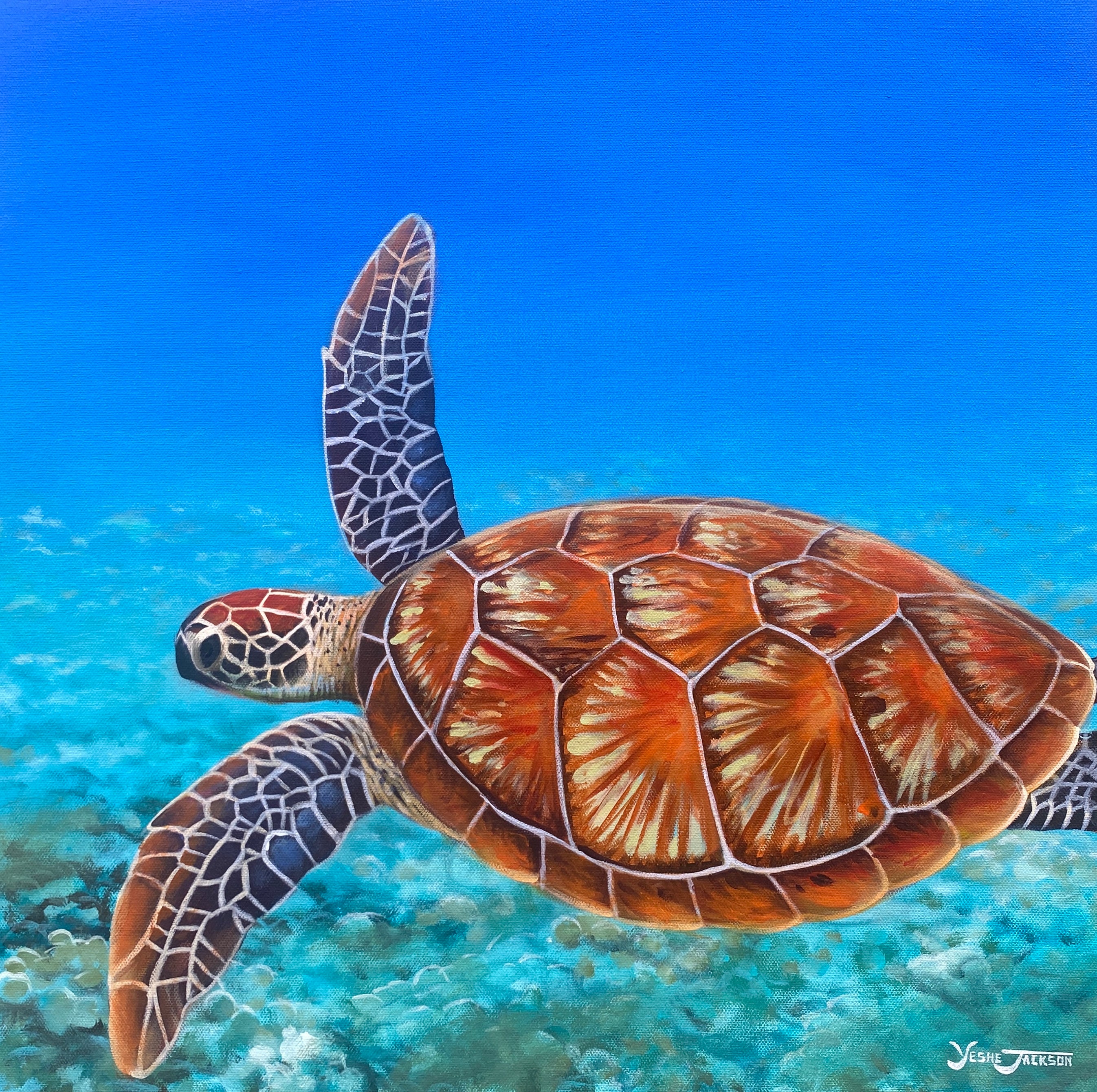 Float Free, acrylic on canvas 20x20 inches