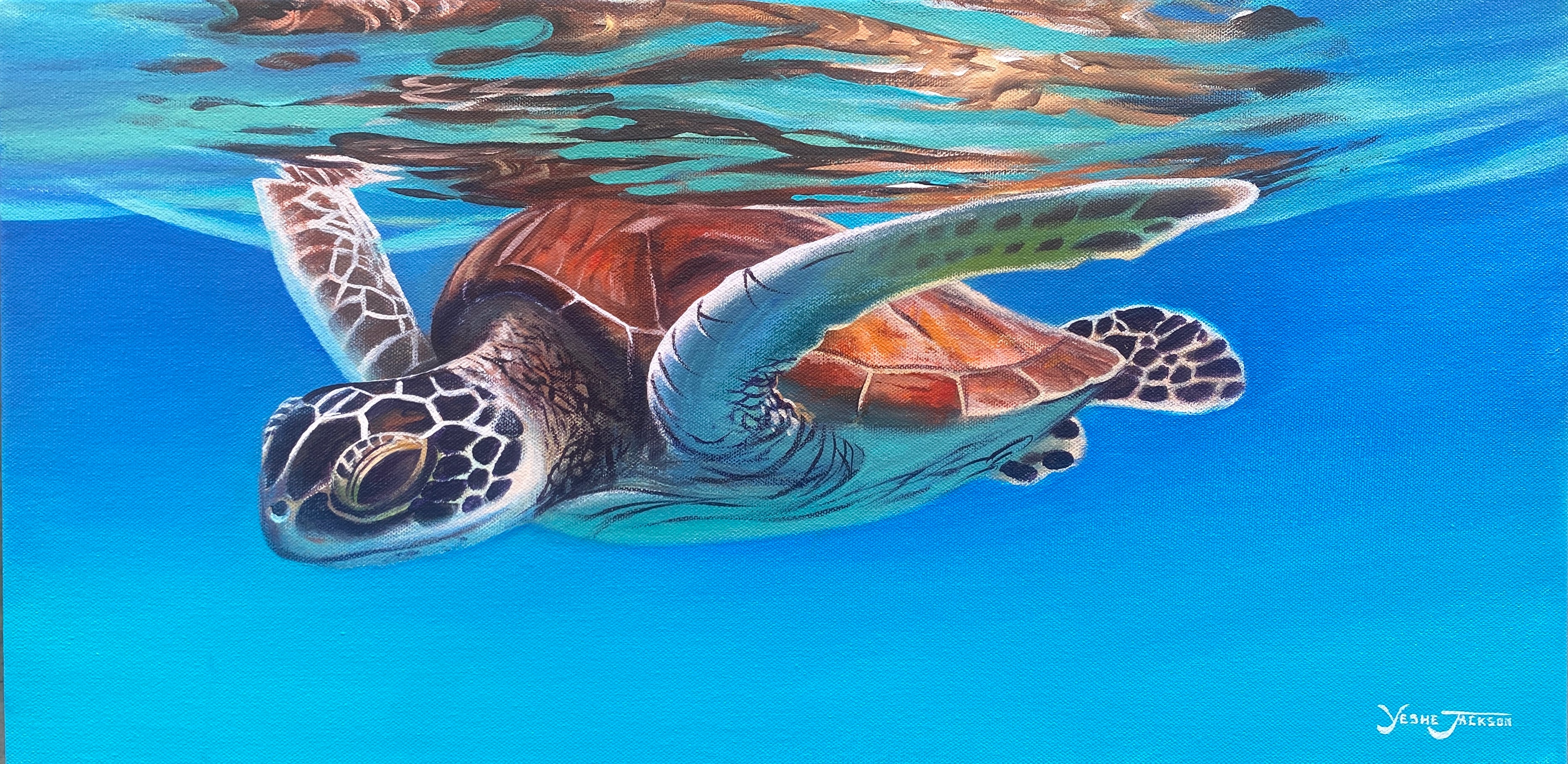 Turtle Reflection, acrylic on canvas 12x24 inches