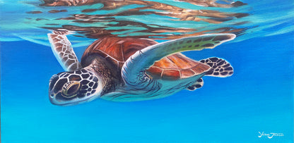 Turtle Reflection, acrylic on canvas 12x24 inches